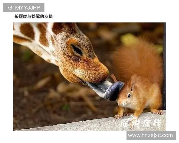 足球明星烧烤恶搞大作战笑料不断让你捧腹大笑的趣味视频